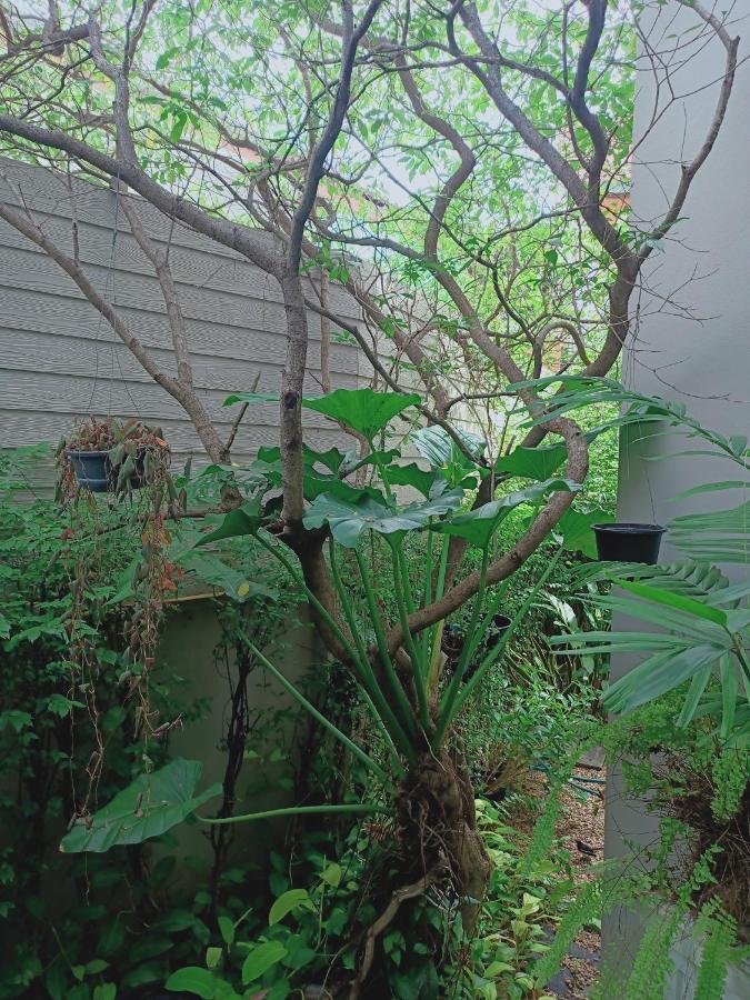 Sri Ngachang Chiang Mai Luaran gambar